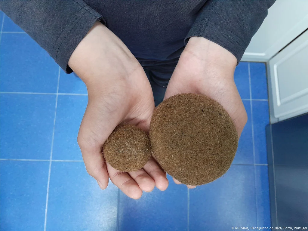 Bolas de Neptuno