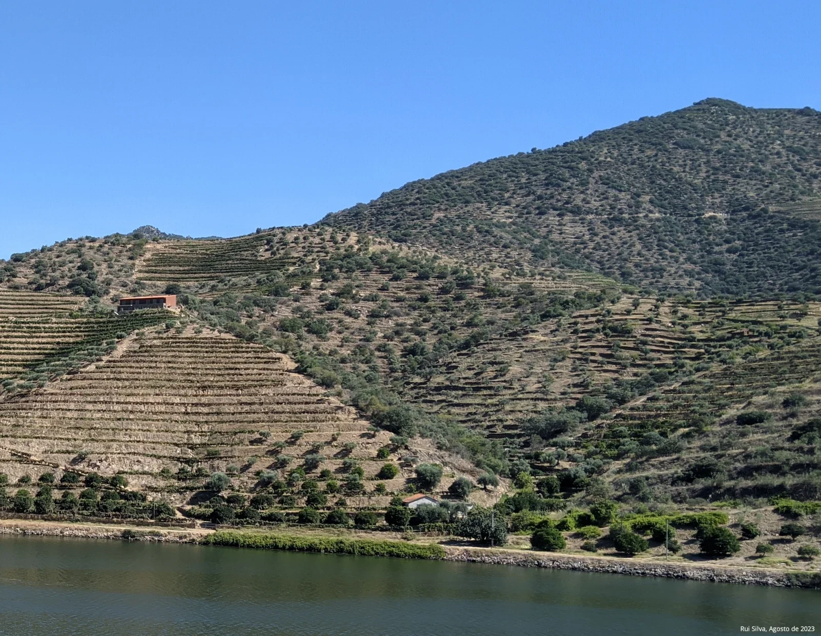 Mortórios do Douro