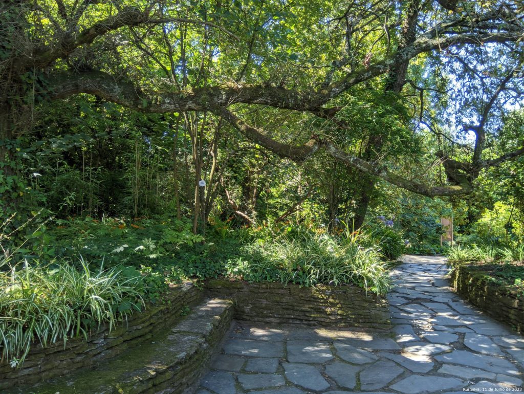 Jardim Botânico da Universidade do Porto