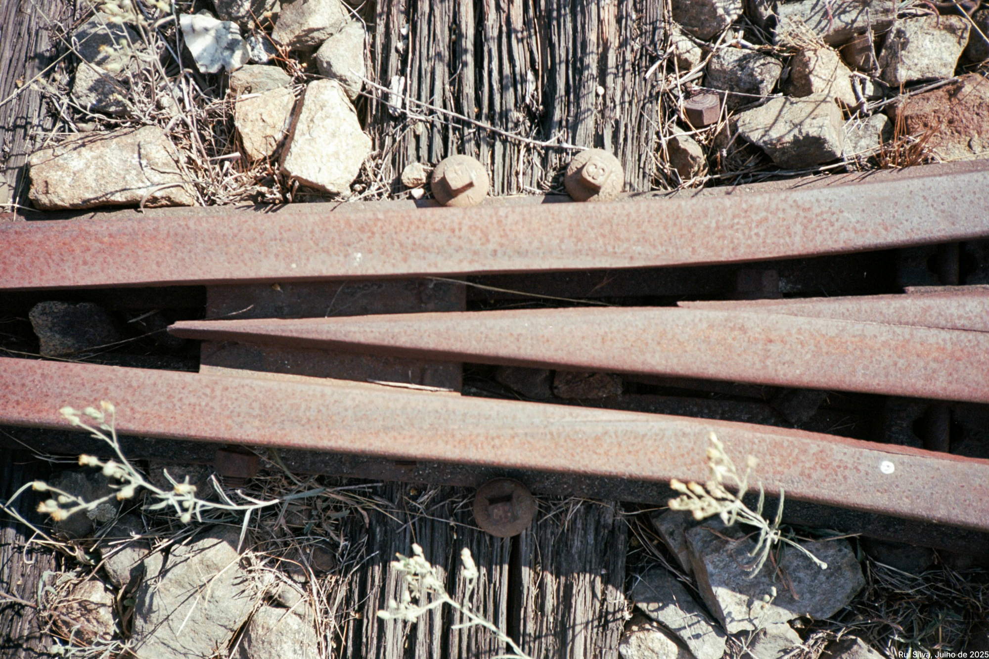 Carris enferrujados